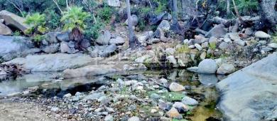 Consejo Asesor demanda proteger la biodiversidad de Sierra La Laguna