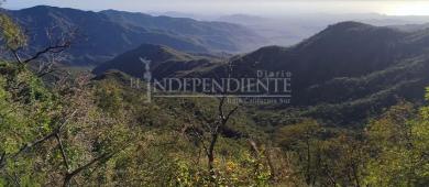 Congreso se integra al Consejo de la Sierra La Laguna; en contra diputado del PVEM de especies no nativas