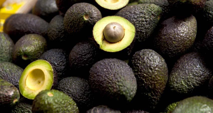 Extorsión impacta hasta en 5% cadena de valor del aguacate