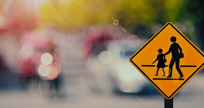 Educación vial, clave para mejorar la movilidad en La Paz: Seguridad Vial y Transporte