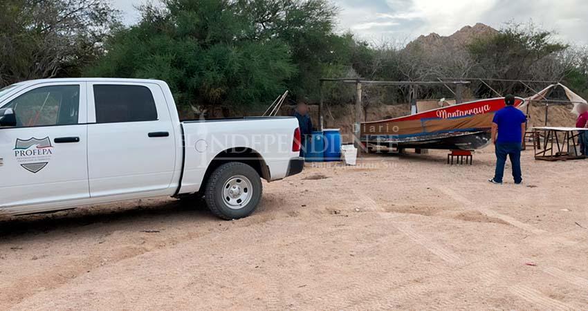 Coordina PROFEPA operativo forestal en el país; en BCS se clausuró una zona de Cabo Pulmo