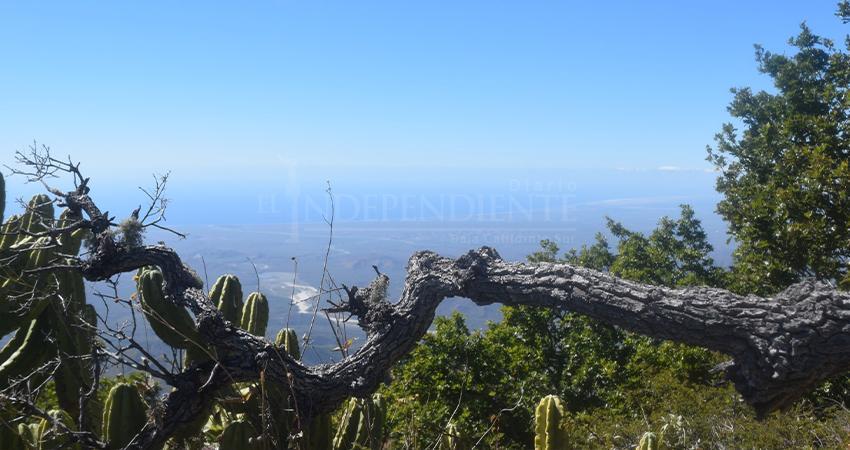 Manuel Cota y Pelayo Covarrubias votan reforma que abre puerta a la reintroducción de especies en áreas como Sierra La Laguna