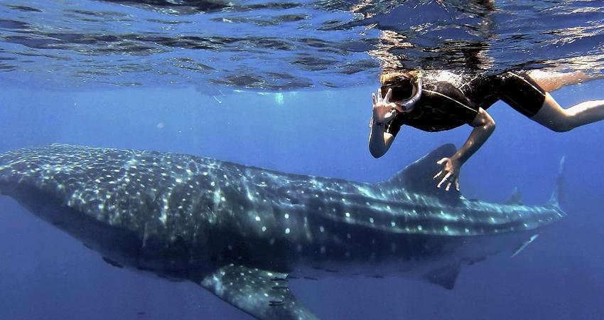 Reconocen de forma internacional a La Paz como un destino de aventura y naturaleza