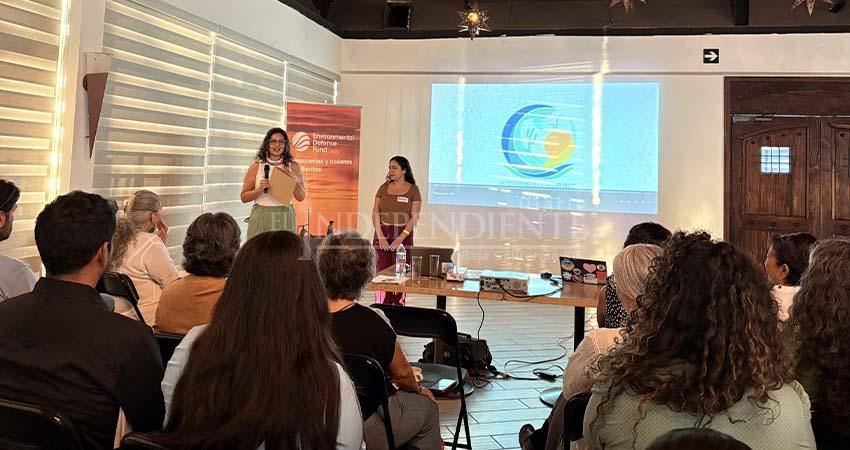 Voceros del Mar: un programa para proteger y restaurar las comunidades costeras de Baja California Sur