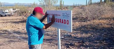 Por el desmonte de vegetación, Profepa clausura predio en Loreto
