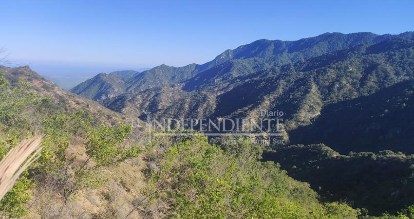 Semarnat detecta inconsistencias y desecha proyecto Santuario del Tío Checo