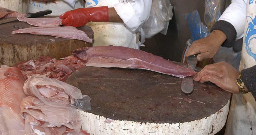 Llaman a la población a consumir pescados y mariscos