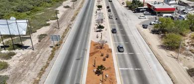 Avanza la construcción de Camellones Choyeros y Línea Púrpura en La Paz