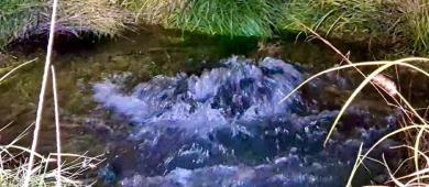 Inicia SAPA La Paz con la reparación del acueducto en inmediaciones del TEC