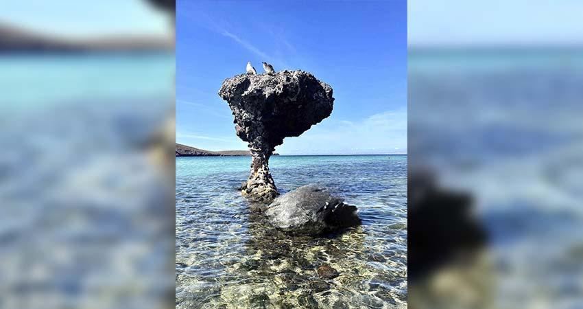 Invitan a locales y turistas a conocer las playas Platino de La Paz