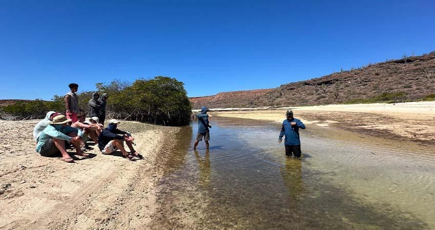 Participa académico de la UABCS en salida científica en el Parque Nacional Isla Espíritu Santo