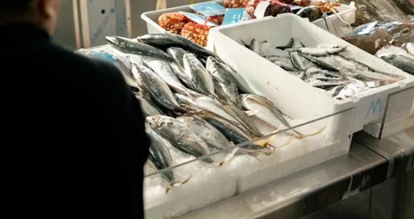 México alcanza 38 % de fraude en venta de pescado y duplica promedio global, según estudio
