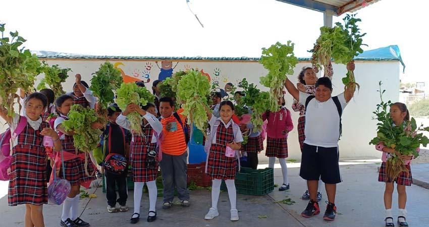 Obtienen primera cosecha del proyecto agroacuicola en Puerto Chale