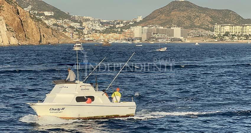 Pesca deportiva en BCS proyecta derrama superior a 150 millones de dólares