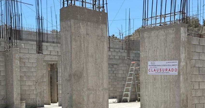 Profepa multa al proyecto The Palmoral y le ordena regularizarse ante la Semarnat