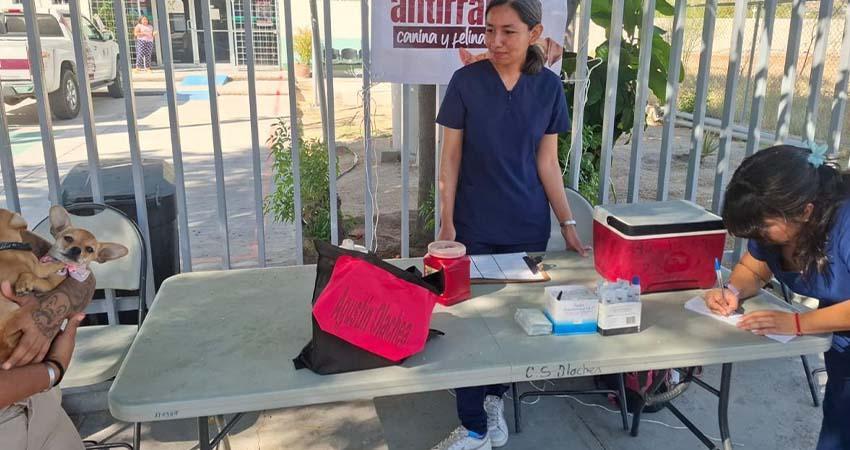 Estudiantes de la UABCS apoyan Campaña Nacional de Vacunación Antirrábica