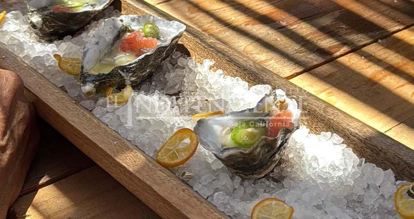 Costas sudcalifornianas apuestan por desarrollo sostenible con ostricultura