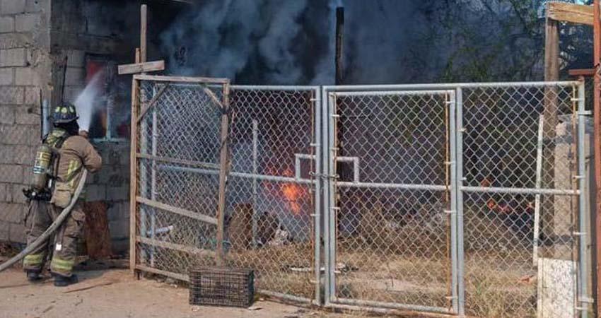 Heroico Cuerpo de Bomberos de La Paz atendió 90 emergencias en marzo