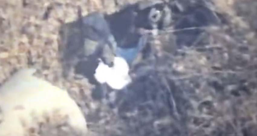 Así fue la detención del ‘Jardinero’, líder del CJNG; fue seguido por 19 meses