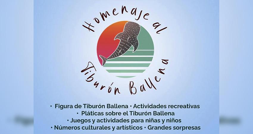 Invitan al homenaje al Tiburón Ballena 2026, símbolo de identidad en La Paz