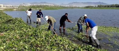 Realizan jornada de limpieza en el Estero Josefino; retiraron 22 toneladas de residuos