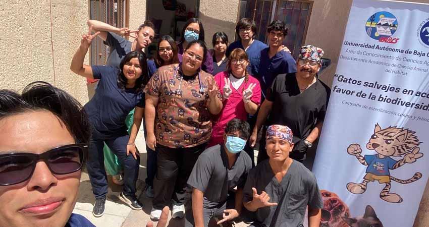 UABCS participa en jornada de esterilización felina en La Paz