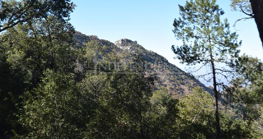 ¿Qué ocurre en Sierra La Laguna? Congreso pide informes