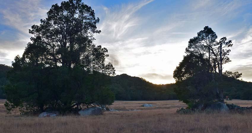 Presentan iniciativa para prohibir construcciones en Sierra La Laguna