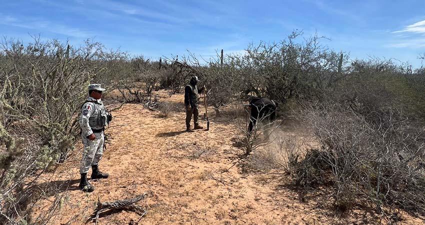 PGJE: Se mantienen los operativos permanentes de búsqueda de personas en La Paz, Los Cabos y Comondú