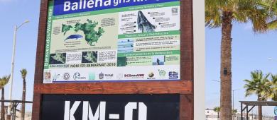 Instalan en Guerrero Negro el distintivo “Kilómetro 0 de la ballena gris”