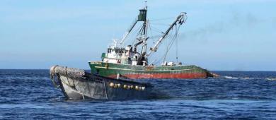 Bahía Magdalena, BCS: un santuario sin protección frente a la pesca industrial