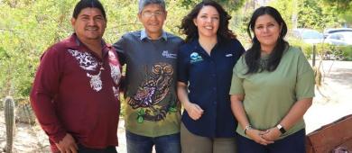 Destaca La Paz entre las ciudades con mayor registro de biodiversidad en reto internacional de ciencia ciudadana