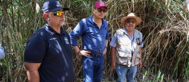 Inicia OOMSAPAS La Paz, obra sanitaria en Todos Santos