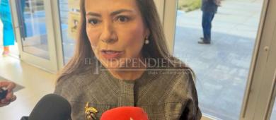 Sistema de salud en BCS está colapsado; autoridades deben dejar de minimizar la realidad: Lupita Saldaña