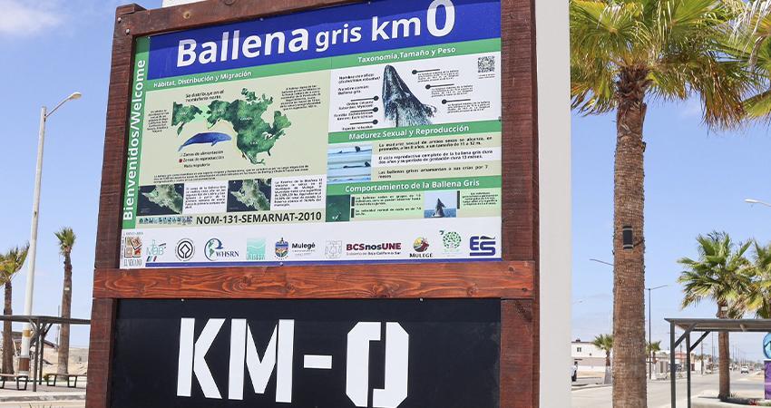 Instalan en Guerrero Negro el distintivo “Kilómetro 0 de la ballena gris”