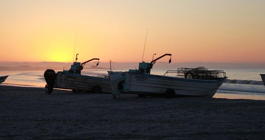 Adaptarse para sobrevivir: pescadores frente al cambio climático en Baja California Sur