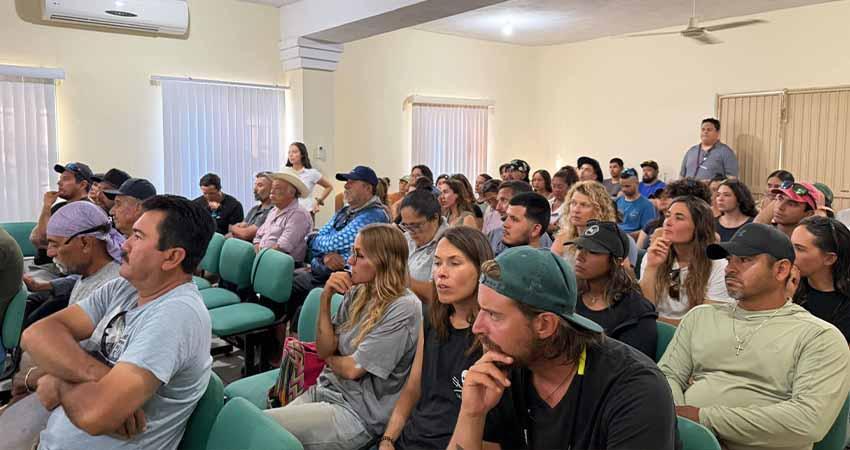 Impulsa Gobierno Municipal turismo responsable y conservación de fauna marina en La ventana y El Sargento