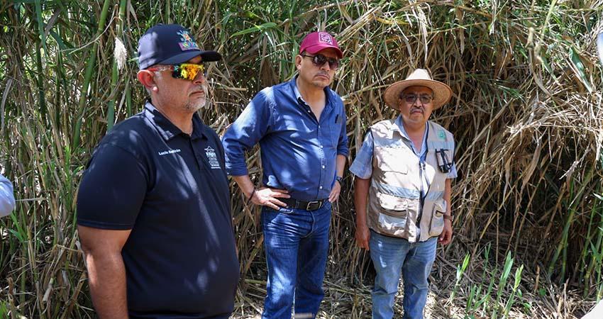Inicia OOMSAPAS La Paz, obra sanitaria en Todos Santos