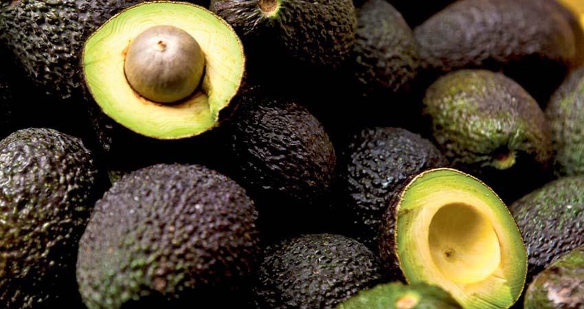 Protegen al aguacate Hass con indicación geográfica