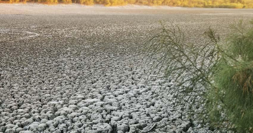 Invitan UABCS y SEPUIMM a participar en talleres para la elaboración del Programa Estatal de Cambio Climático de Baja California Sur