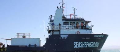 Nuevo polígono para la vaquita marina avanza sin consulta pública ni consenso social
