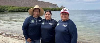 Grupo Yuum, ocho años de una labor silenciosa; limpian manglares y cuidan Balandra