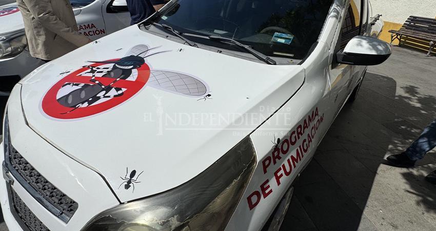Los Cabos inicia cinco meses de fumigación contra el dengue; confirman 60 casos y un fallecido
