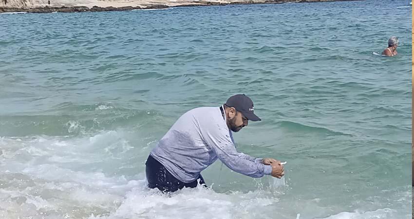 Confirma COEPRIS las óptimas condiciones sanitarias de las playas de BCS