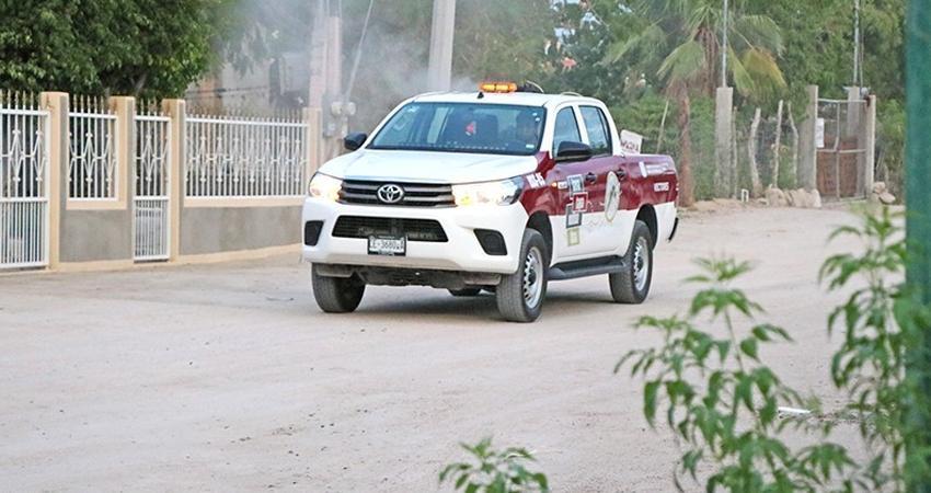Inicia Salud estatal jornadas de fumigación contra el dengue en La Paz y Los Cabos