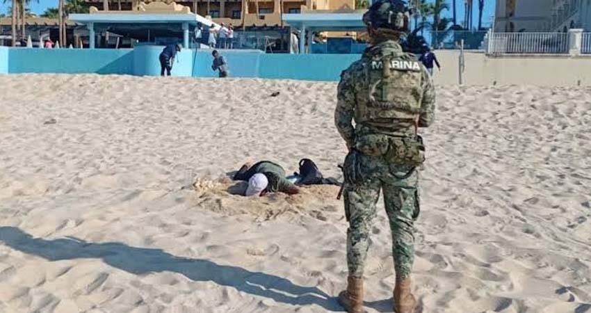 Semar y Profepa recuperan unos 10 mil huevos de tortuga golfina en BCS