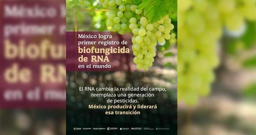 Primer biofungicida de RNA del mundo se producirá en México
