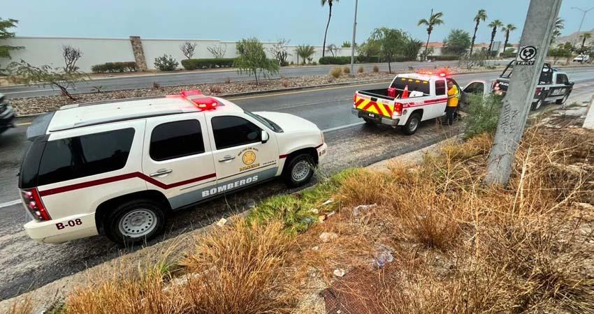 Bomberos San José del Cabo atienden incendio forestal por corto circuito y apoyan en la carretera Transpeninsular