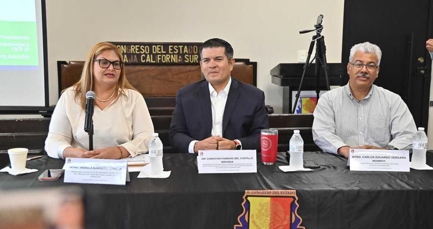Campaña de propuestas, pide el diputado Fabrizio del Castillo; TEPJF se pronuncia por proceso sin tipos de violencia