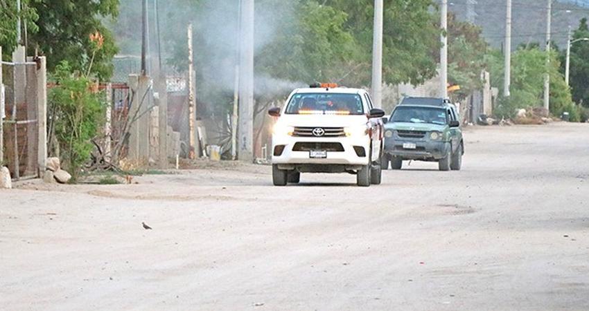 Más de 4 mil 700 hectáreas atendidas contra el dengue en Los Cabos y La Paz